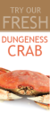 Fresh Crab
